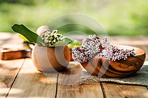 Asclepias, milkweeds, n Eco-friendly wooden utensils on rustic table on grass background in the sun. The concept of