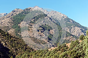 Asco mountains in Corsica montains
