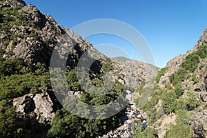 Asco river in Corsica montains