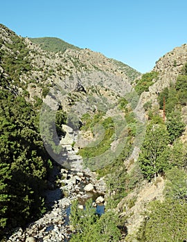 Asco river in Corsica montains