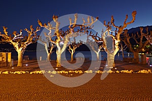 Ascona (Switzerland) - Illuminated trees