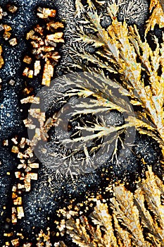 Ascorbic acid and aluminum potash