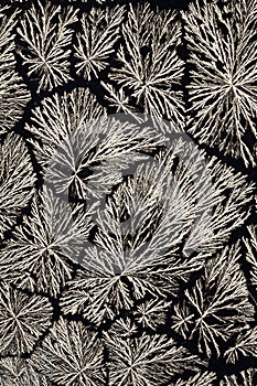 Ascorbic Acid crystals