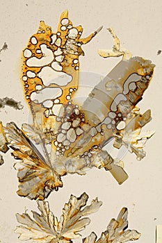 Ascorbic acid crystals