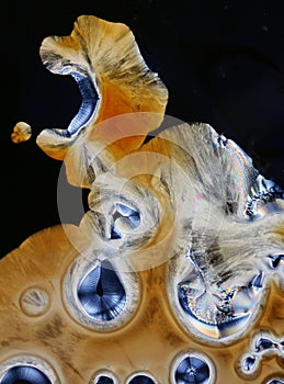 Ascorbic acid crystals closeup