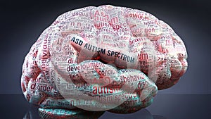 Asd autism spectrum and a human brain