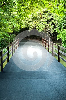 Asfalt road bridge pathway