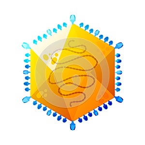 Asfarviridae Color Virus Composition