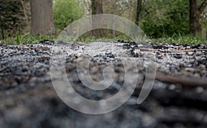 Ash in gorund, green forrest in background