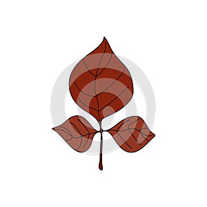 Ash leaf vector illustration. Idea for picture in frame, ornament, autumn holidays.Logo, icons, decor.