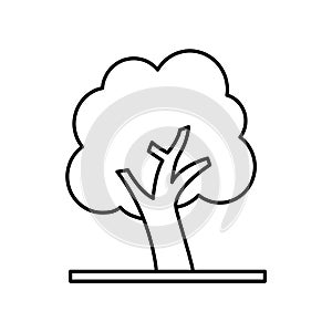 Ash   Line Style vector icon which can easily modify or edit