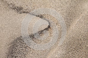 Ash Macro shot at Rice Mill