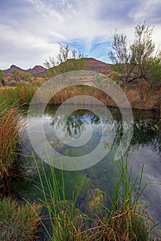 Ash Meadows National Wildlife Refuge in Nye County, Nevada photo