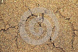 Ash Texture at Rice Mill