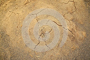 Ash Texture at Rice Mill