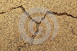 Ash Texture at Rice Mill