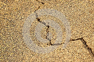 Ash Texture at Rice Mill