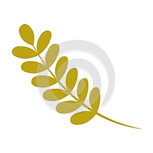 Ash tree leaf icon, flat style