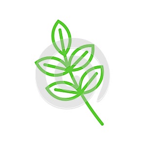 Ash tree leaf, leaves icon