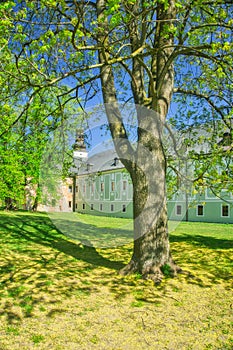 Ash tree by Mansion in the Park Jana Baltazara Magina in Dubnica nad Vahom town