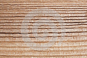 Ash tree wood texture