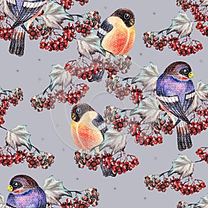 Ashberry and bullfinch