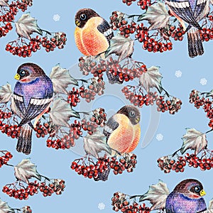 Ashberry and bullfinch