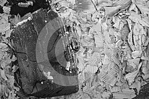 Ash after the barbecue