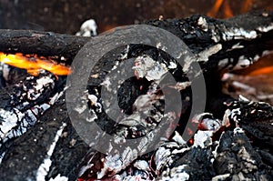 Ashes of a forest fire.