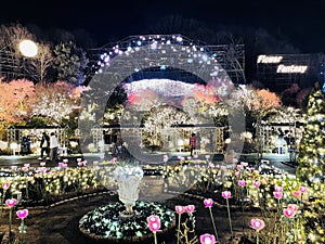 Ashikaga Flower Park New Year illumination