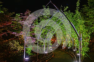 Ashikaga Flower Park, Tochigi , famous travel destination in Japan