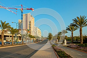 Ashkelon street with palm trees