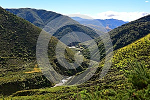 Ashley Gorge flowing through Lees Valley in New Zealand