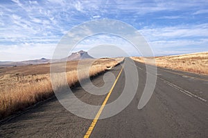 Ashpalt Road Bordered by Winter Grass in South Africa