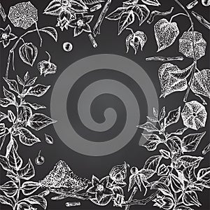 Ashwagandha hand drawn border frame pattern with berries, lives and branch in white chalk color on black chalkboard