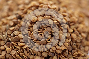 Ashwagandha seed (Withania somnifera)