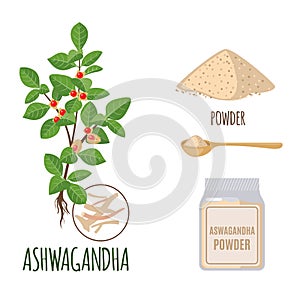 Ashwagandha set with powder and roots in flat style isolated on white.