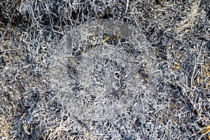 Ashy Ground Surface Background