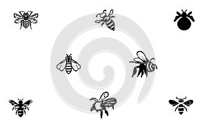 Ashy Mining Bee beautiful icon photo