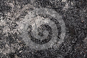 Ashy surface. Texture of burnt grass. Overal view