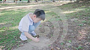 An Asia boy sitting in the garden and drawing on the ground with branches or stick. Kid wearing white t-shirt and jeans. Outdoor a