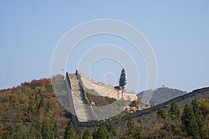 Asia China, Beijing, badaling national forest park, the Great Wall, red leaves