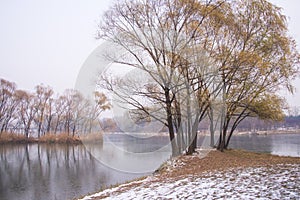 Asia China, Beijing, Chaoyang Park, winter sceneryï¼Œ