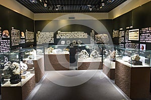 Asia China, Beijing, geological museum, indoor exhibition hall