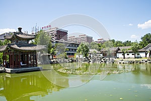 Asia China, Beijing, Grand View Garden, landscape architecture, Qin Fang Pavilion Bridge