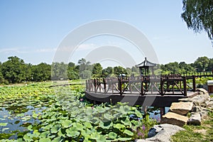 Asia China, Beijing, Old Summer Palace, lake landscape, lotus pond,wooden pavilion