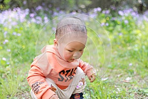 Asia Chinese little baby toddler boy child play outdoor in park forest sunny happy carefree smell flower meadow spring garden