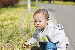 Asia Chinese little baby toddler boy child play outdoor in park forest sunny happy smile carefree flower meadow pick up leaves