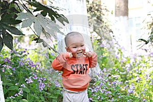 Asia Chinese little baby toddler boy child play outdoor in park forest sunny happy smile carefree flower meadow pick up leaves