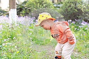 Asia Chinese little baby toddler boy child play outdoor in park forest sunny happy smile carefree flower meadow pick up leaves